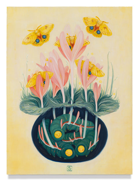 Laura Catherwood - Youth Consumed (Crocus)