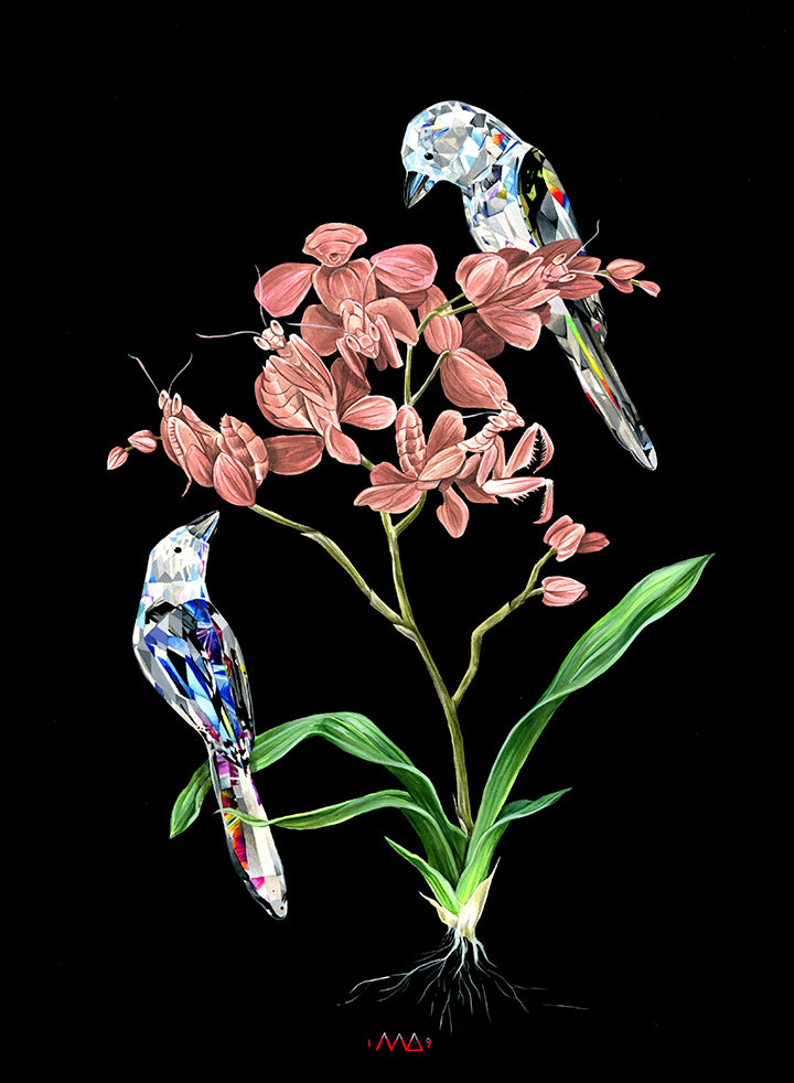 Meg Adamson - Crystal Magpies & Mantis Orchid