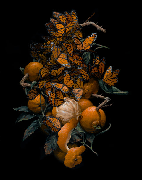 Jake Messing - Monarch