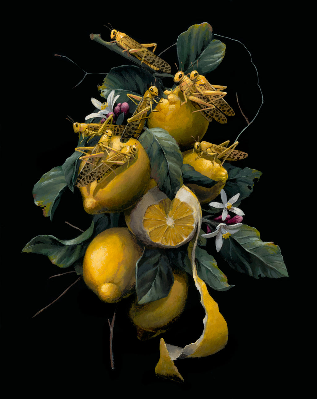 Jake Messing - Locusts & Lemons