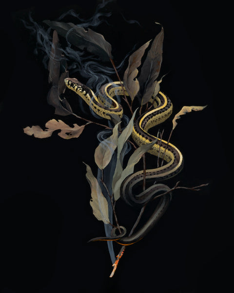 Jake Messing - Fire Garter