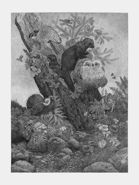 Zoe Keller - Old Growth