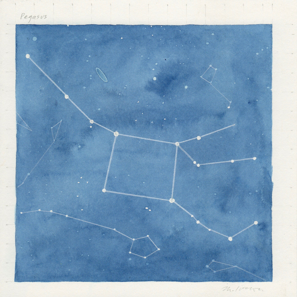 Mary Iverson - Pegasus (star map)