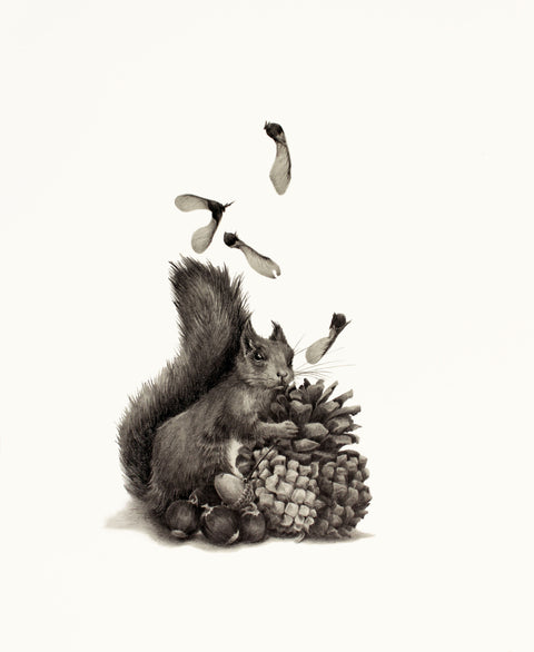 Katy Harrald - ’Red Squirrel in Autumn’
