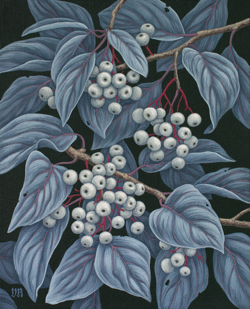Vasilisa Romanenko - Dogwood Berries