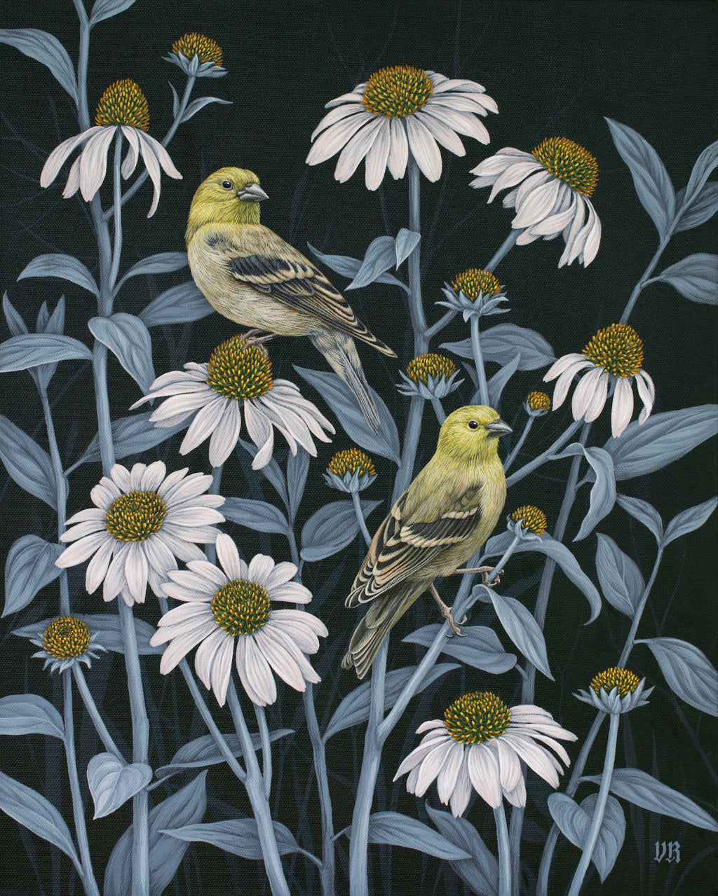 Vasilisa Romanenko - Finches and Coneflowers