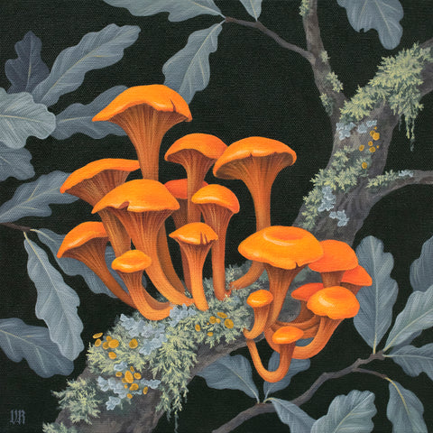 Vasilisa Romanenko - "Fungi"