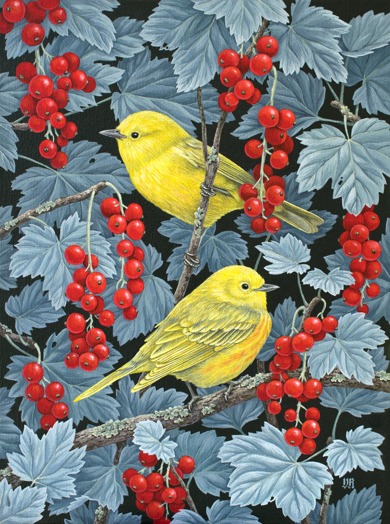 Vasilisa Romanenko - Yellow Warblers