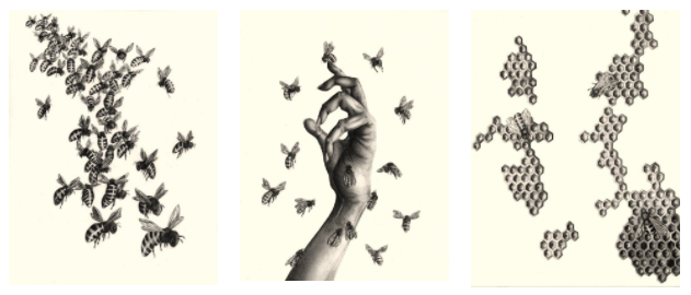 Susannah Kelly - Swarm (triptych)