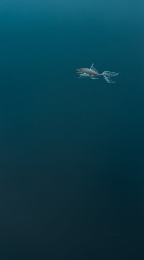 Matthew Rucker - Skirted Shark