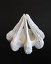 Christina Mrozik - Heron's Ritual Vase