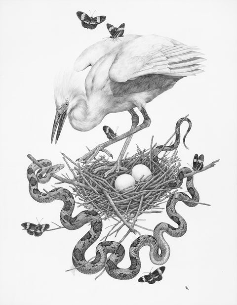 Zoe Keller - Snowy Egret Print