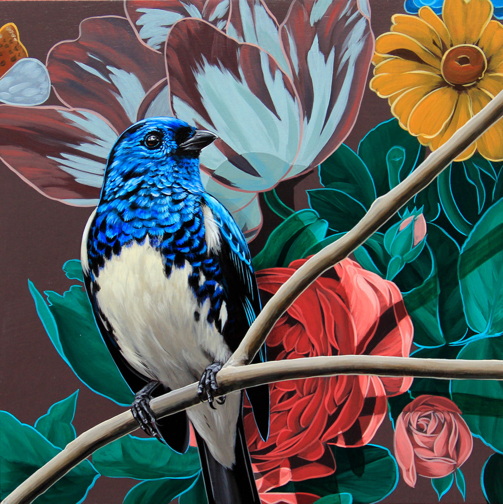 David Rice - Tanager 1