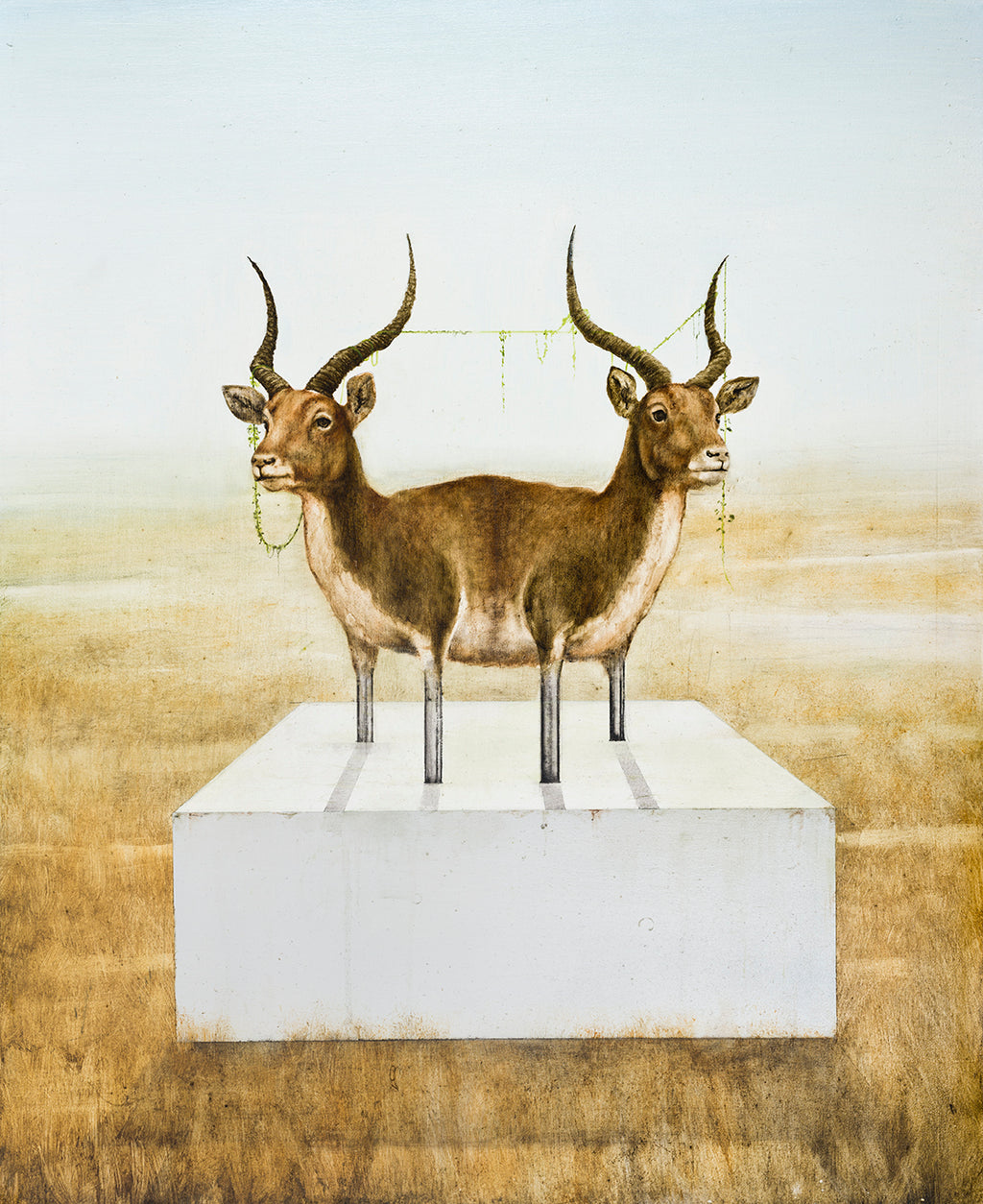 Kevin Earl Taylor - Two Headed Gazelle Print