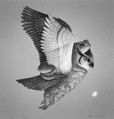 Juliet Schreckinger - The Moon Lovers