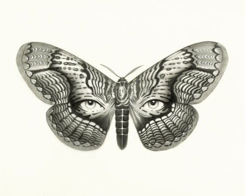 Allison Remold - The All-Seeing Eyes