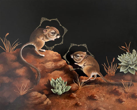 Kristin Bell - San Quintin Kangaroo Rat