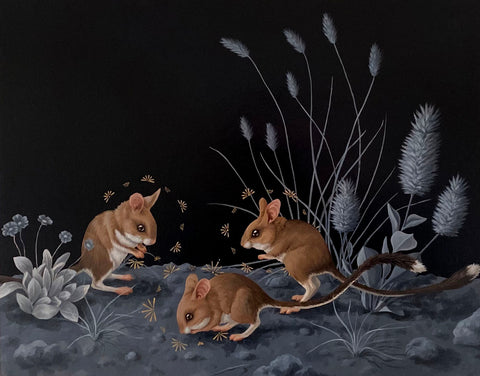 Kristin Bell - Long-tailed Hopping Mice