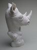 Crystal Morey “Beyond Borders: Rhino”