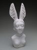 Crystal Morey - New Symbiosis: Hare with Sierra Buttercups