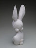 Crystal Morey - New Symbiosis: Hare with Sierra Buttercups