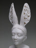 Crystal Morey - New Symbiosis: Hare with Sierra Buttercups