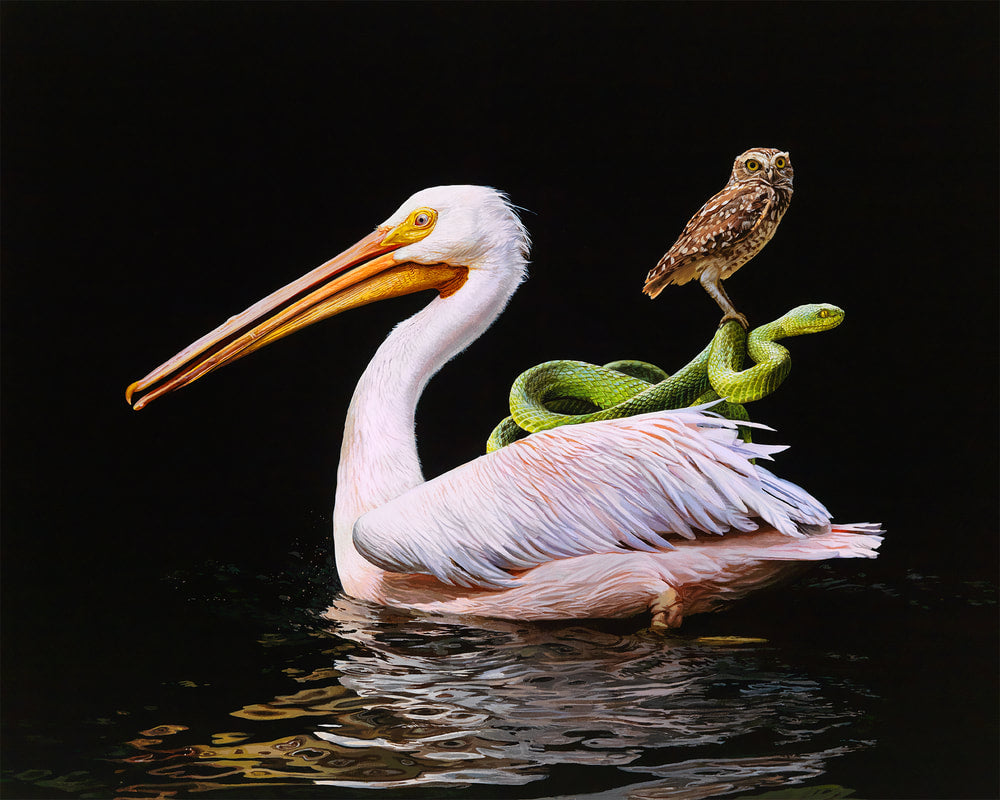 Lisa Ericson - Distant Shore