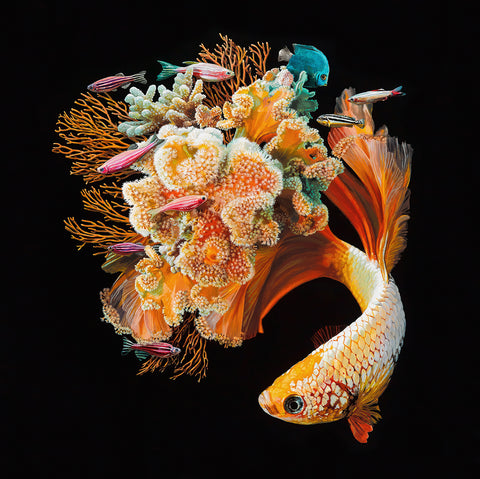 Lisa Ericson - Bloom