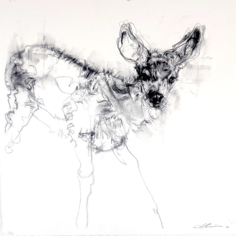 April Coppini - Vulnerable One (Mule Deer Fawn)