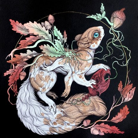Caitlin Hackett - Growth & Decay