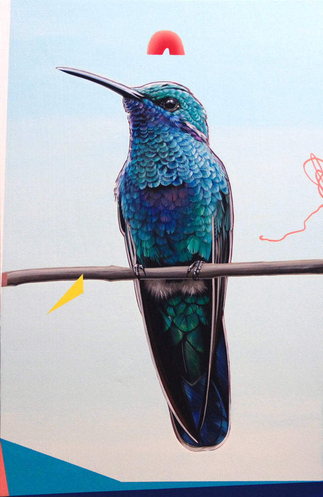 David Rice - Hummingbird