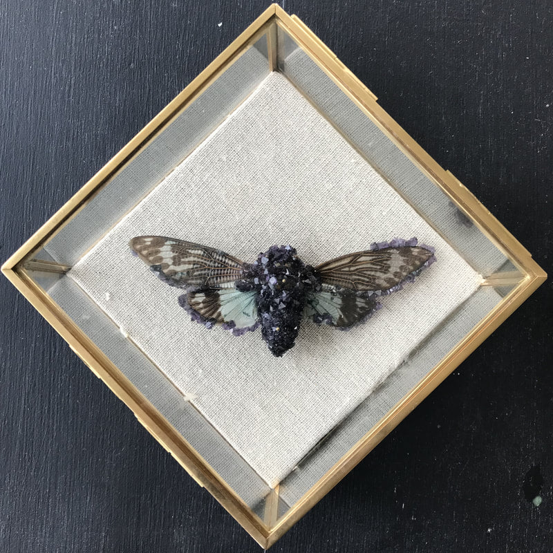 Tyler Thrasher Amethyst Antler Gallery