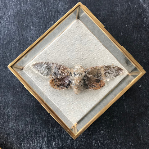 Tyler Thrasher - Druzy