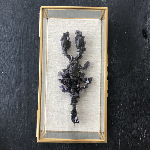 Tyler Thrasher - Amethyst Scorpion