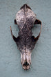 Jason Borders - Dark Coyote