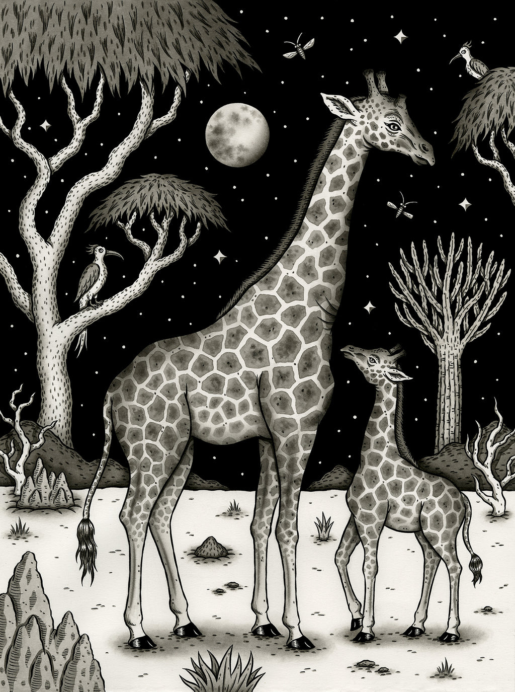 Jon MacNair - "Rothschild's Giraffe"