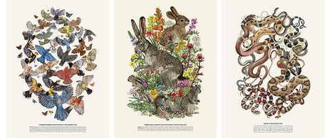 Zoe Keller - Poster Set & Bonus Ltd Edition print