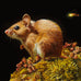 Lisa Ericson - Island