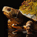 Lisa Ericson - Island