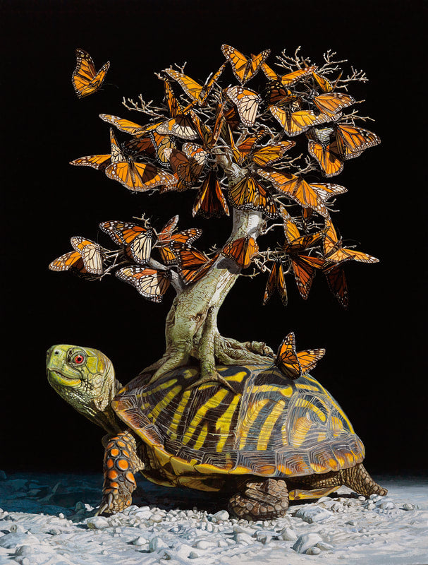 Lisa Ericson - Migration