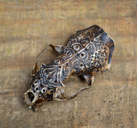 Jason Borders - Mink Skull I