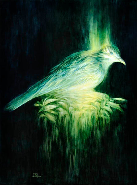 Brin Levinson - Night Phase Dove