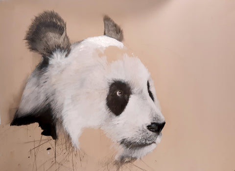 Douglas Miller - Untitled (Panda)
