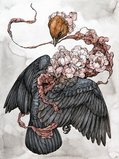 Lauren Marx - Peach Blossom