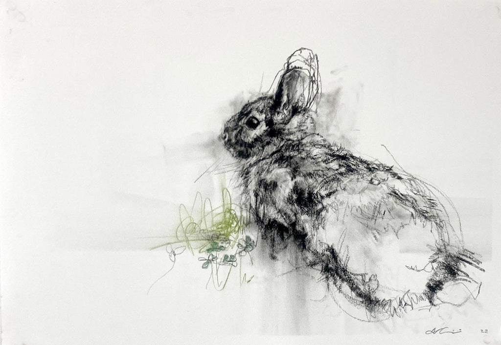 April Coppini - Columbia Basin Pygmy Rabbit