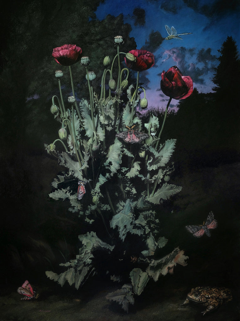 Rebecca Luncan - My Grandfather's Poppies