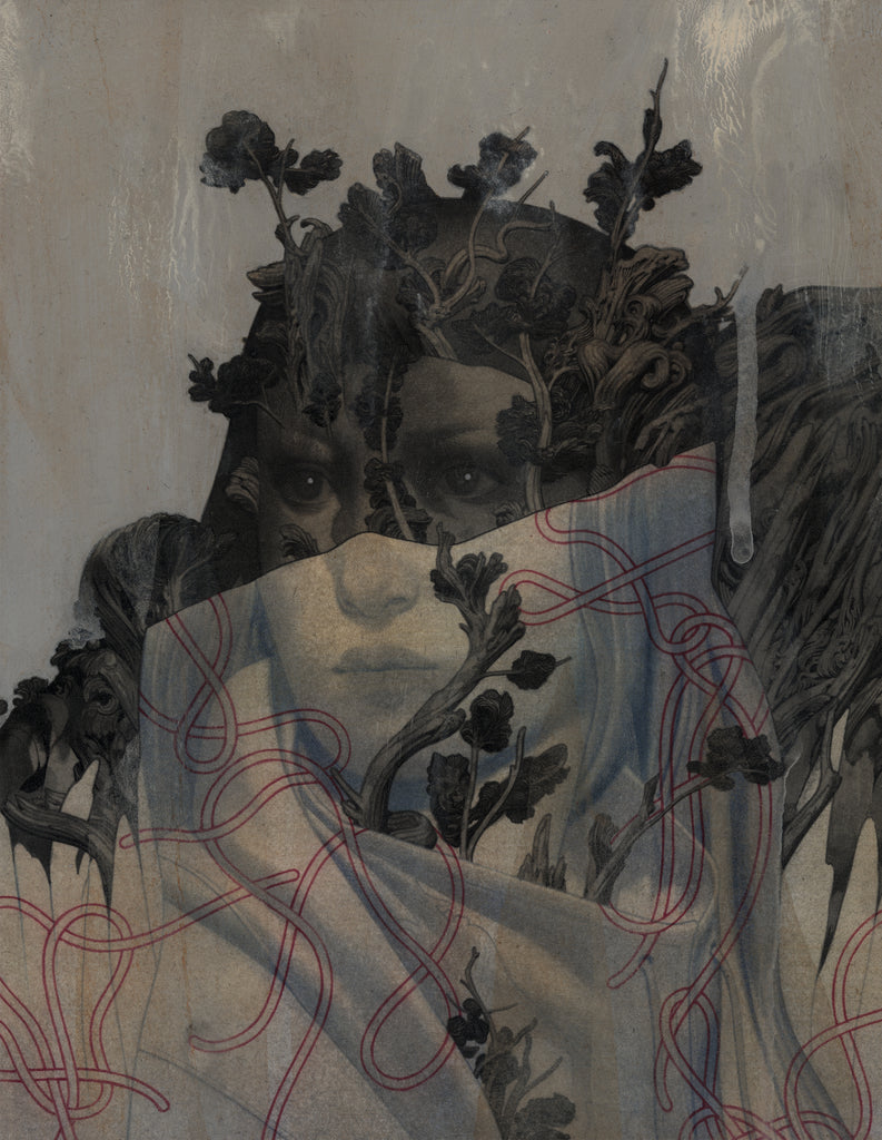 João Ruas - Shell II