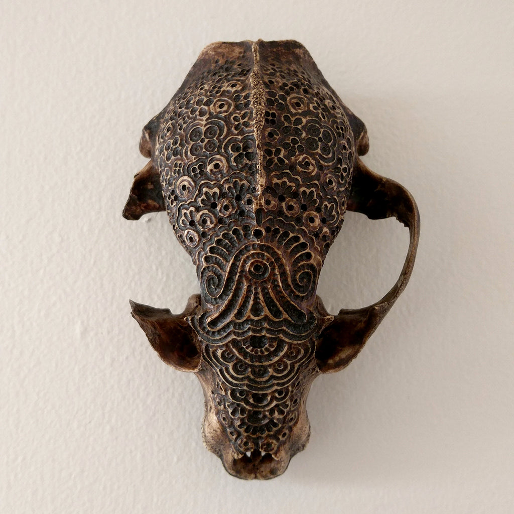 Jason Borders - Skunk Skull & Walnut Ink