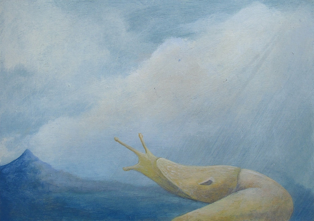 Amy Ruppel - Slug, Mountain Dawn